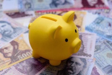 Bir domuz kumbarası depolama, biriktirme ve finansal kaynaklar biriktirme konsepti olarak kullanılıyor. Tasarımınız için bir kumbara.