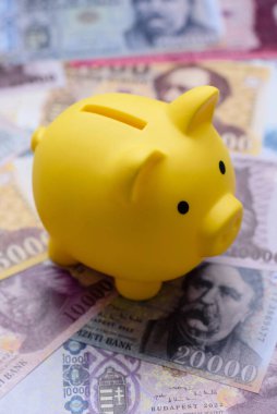 Bir domuz kumbarası depolama, biriktirme ve finansal kaynaklar biriktirme konsepti olarak kullanılıyor. Tasarımınız için bir kumbara.