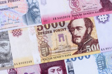 Macar forinti, nakit para, Macaristan para birimi, finansal işlemler için banknotlar. Tasarımınız için finansal arka plan olarak Macar forinti