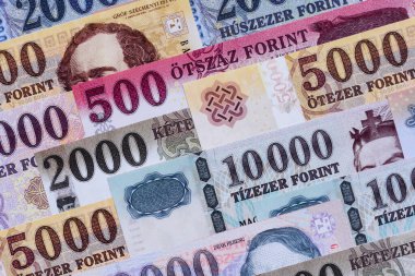 Macar forinti, nakit para, Macaristan para birimi, finansal işlemler için banknotlar. Tasarımınız için finansal arka plan olarak Macar forinti