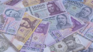 Macar forinti, nakit para, Macaristan para birimi, finansal işlemler için banknotlar. Tasarımınız için finansal arka plan olarak Macar forinti