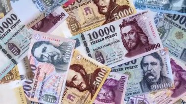 Macar forinti, nakit para, Macaristan para birimi, finansal işlemler için banknotlar. Tasarımınız için finansal arka plan olarak Macar forinti