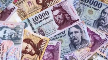 Macar forinti, nakit para, Macaristan para birimi, finansal işlemler için banknotlar. Tasarımınız için finansal arka plan olarak Macar forinti