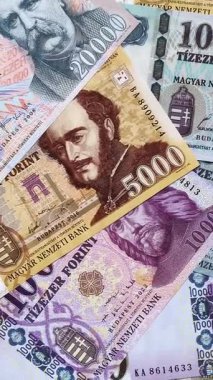 Macar forinti, nakit para, Macaristan para birimi, finansal işlemler için banknotlar. Tasarımınız için finansal arka plan olarak Macar forinti