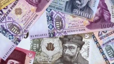 Macar forinti, nakit para, Macaristan para birimi, finansal işlemler için banknotlar. Tasarımınız için finansal arka plan olarak Macar forinti