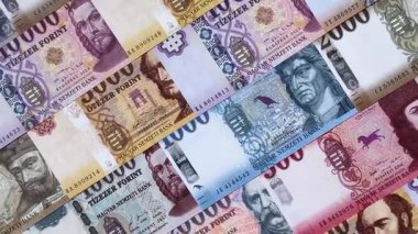 Macar forinti, nakit para, Macaristan para birimi, finansal işlemler için banknotlar. Tasarımınız için finansal arka plan olarak Macar forinti