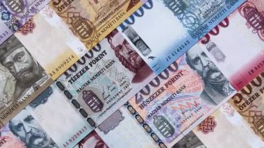 Macar forinti, nakit para, Macaristan para birimi, finansal işlemler için banknotlar. Tasarımınız için finansal arka plan olarak Macar forinti