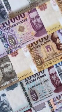 Macar forinti, nakit para, Macaristan para birimi, finansal işlemler için banknotlar. Tasarımınız için finansal arka plan olarak Macar forinti