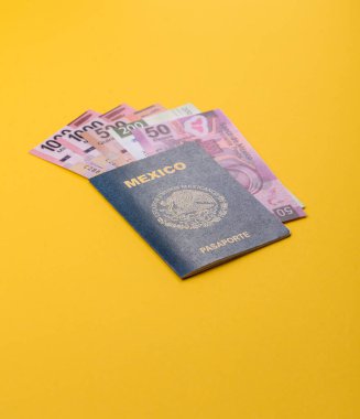 Seyahat etmek, uçmak ve iş yapmak için Meksika pasaportu. Meksika belgesi, sınırı geçmek için kimlik