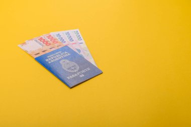 Seyahat etmek, uçmak ve iş yapmak için Arjantin pasaportu. Arjantin belgesi, sınırı geçmek için kimlik