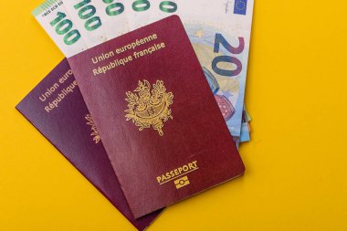 Seyahat etmek, uçmak ve iş yapmak için Fransız pasaportu. Fransa belgesi, sınırı geçmek için kimlik