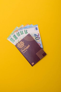 Portekiz pasaportu, Portekizce küresel iş, göç veya seyahat belgesi.