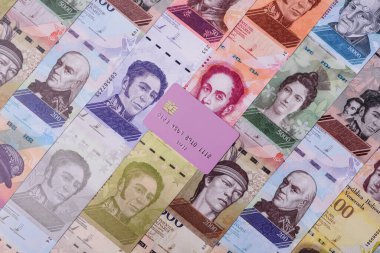 Bir terminal ya da internet üzerinden ulaşılamayan nakit ödemeler için bir kredi kartı. Finansal geçmiş için kredi kartı