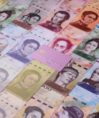 Bir terminal ya da internet üzerinden ulaşılamayan nakit ödemeler için bir kredi kartı. Finansal geçmiş için kredi kartı