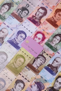 Bir terminal ya da internet üzerinden ulaşılamayan nakit ödemeler için bir kredi kartı. Finansal geçmiş için kredi kartı