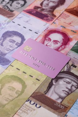 Bir terminal ya da internet üzerinden ulaşılamayan nakit ödemeler için bir kredi kartı. Finansal geçmiş için kredi kartı