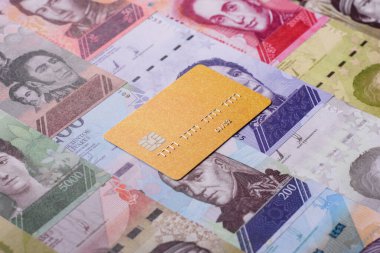 Bir terminal ya da internet üzerinden ulaşılamayan nakit ödemeler için bir kredi kartı. Finansal geçmiş için kredi kartı