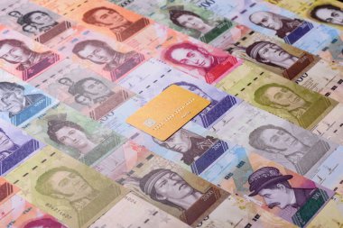 Bir terminal ya da internet üzerinden ulaşılamayan nakit ödemeler için bir kredi kartı. Finansal geçmiş için kredi kartı