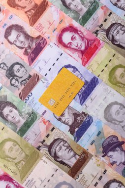 Bir terminal ya da internet üzerinden ulaşılamayan nakit ödemeler için bir kredi kartı. Finansal geçmiş için kredi kartı