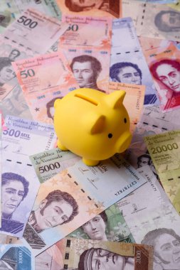 Bir domuz kumbarası depolama, biriktirme ve finansal kaynaklar biriktirme konsepti olarak kullanılıyor. Tasarımınız için bir kumbara.