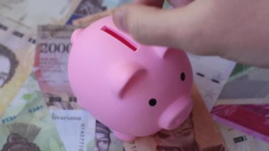 Bir domuz kumbarası depolama, biriktirme ve finansal kaynaklar biriktirme konsepti olarak kullanılıyor. Tasarımınız için bir kumbara.