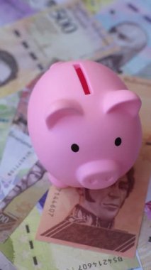 Bir domuz kumbarası depolama, biriktirme ve finansal kaynaklar biriktirme konsepti olarak kullanılıyor. Tasarımınız için bir kumbara.