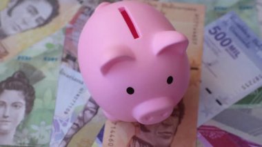 Bir domuz kumbarası depolama, biriktirme ve finansal kaynaklar biriktirme konsepti olarak kullanılıyor. Tasarımınız için bir kumbara.