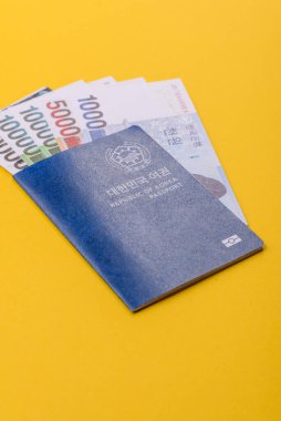 Seyahat etmek, uçmak ve iş yapmak için Kore pasaportu. Güney Kore belgesi, sınırı geçmek için kimlik