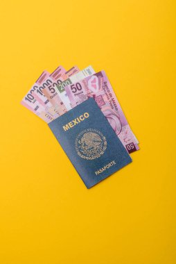 Seyahat etmek, uçmak ve iş yapmak için Meksika pasaportu. Meksika belgesi, sınırı geçmek için kimlik