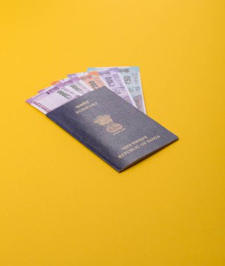 Seyahat etmek, uçmak ve iş yapmak için Hindistan pasaportu. Hindistan belgesi, sınırı geçmek için kimlik