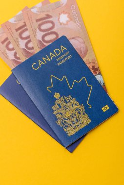 Seyahat etmek, uçmak ve iş yapmak için Kanada pasaportu. Kanada belgesi, sınırı geçmek için kimlik