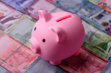 Bir domuz kumbarası depolama, biriktirme ve finansal kaynaklar biriktirme konsepti olarak kullanılıyor. Tasarımınız için bir kumbara.