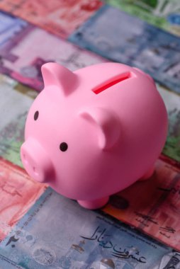 Bir domuz kumbarası depolama, biriktirme ve finansal kaynaklar biriktirme konsepti olarak kullanılıyor. Tasarımınız için bir kumbara.