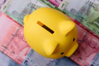 Bir domuz kumbarası depolama, biriktirme ve finansal kaynaklar biriktirme konsepti olarak kullanılıyor. Tasarımınız için bir kumbara.