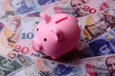 Bir domuz kumbarası depolama, biriktirme ve finansal kaynaklar biriktirme konsepti olarak kullanılıyor. Tasarımınız için bir kumbara.