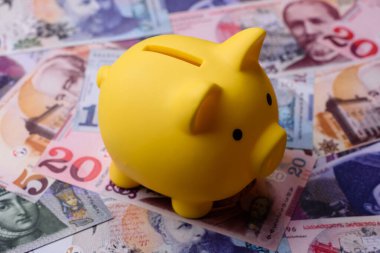 Bir domuz kumbarası depolama, biriktirme ve finansal kaynaklar biriktirme konsepti olarak kullanılıyor. Tasarımınız için bir kumbara.