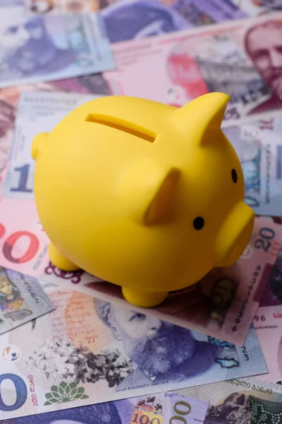 Bir domuz kumbarası depolama, biriktirme ve finansal kaynaklar biriktirme konsepti olarak kullanılıyor. Tasarımınız için bir kumbara.