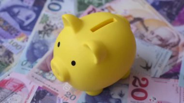 Bir domuz kumbarası depolama, biriktirme ve finansal kaynaklar biriktirme konsepti olarak kullanılıyor. Tasarımınız için bir kumbara.