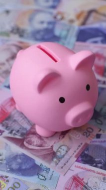 Bir domuz kumbarası depolama, biriktirme ve finansal kaynaklar biriktirme konsepti olarak kullanılıyor. Tasarımınız için bir kumbara.