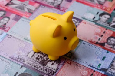 Bir domuz kumbarası depolama, biriktirme ve finansal kaynaklar biriktirme konsepti olarak kullanılıyor. Tasarımınız için bir kumbara.