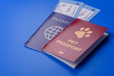 Evcil hayvan pasaportu, kedi, köpek ya da diğer hayvanlar için aşı ve seyahat bilgileri içeren bir belgedir. Tasarımınız için bir evcil hayvan pasaportu.