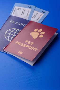 Evcil hayvan pasaportu, kedi, köpek ya da diğer hayvanlar için aşı ve seyahat bilgileri içeren bir belgedir. Tasarımınız için bir evcil hayvan pasaportu.