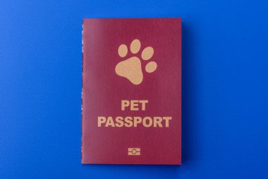 Evcil hayvan pasaportu, kedi, köpek ya da diğer hayvanlar için aşı ve seyahat bilgileri içeren bir belgedir. Tasarımınız için bir evcil hayvan pasaportu.