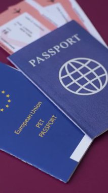 Evcil hayvan pasaportu, kedi, köpek ya da diğer hayvanlar için aşı ve seyahat bilgileri içeren bir belgedir. Tasarımınız için bir evcil hayvan pasaportu