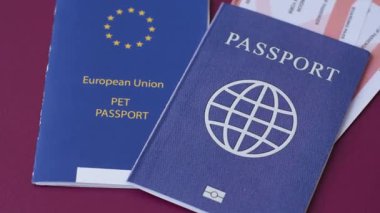 Evcil hayvan pasaportu, kedi, köpek ya da diğer hayvanlar için aşı ve seyahat bilgileri içeren bir belgedir. Tasarımınız için bir evcil hayvan pasaportu