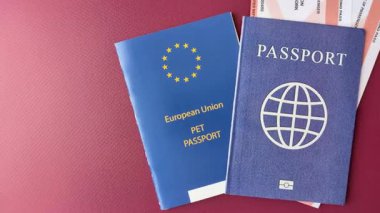 Evcil hayvan pasaportu, kedi, köpek ya da diğer hayvanlar için aşı ve seyahat bilgileri içeren bir belgedir. Tasarımınız için bir evcil hayvan pasaportu