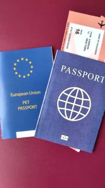 Evcil hayvan pasaportu, kedi, köpek ya da diğer hayvanlar için aşı ve seyahat bilgileri içeren bir belgedir. Tasarımınız için bir evcil hayvan pasaportu