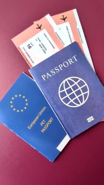 Evcil hayvan pasaportu, kedi, köpek ya da diğer hayvanlar için aşı ve seyahat bilgileri içeren bir belgedir. Tasarımınız için bir evcil hayvan pasaportu