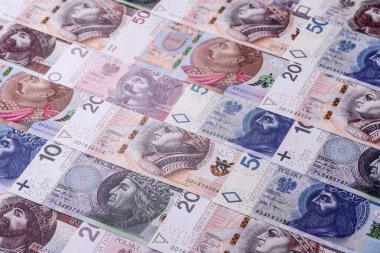 Polonya Zloti kağıt parası, döviz ve mali işlemler için banknotlar. Polonya zlotisi tasarımın için finansal bir arka plan.