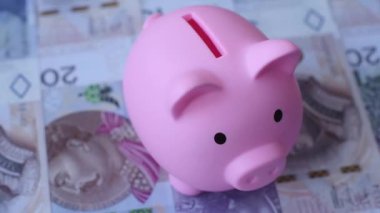 Bir domuz kumbarası depolama, biriktirme ve finansal kaynaklar biriktirme konsepti olarak kullanılıyor. Tasarımınız için bir kumbara.